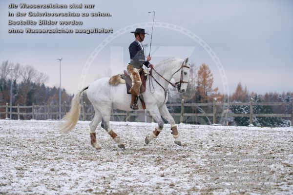 b_K3F07615.jpg